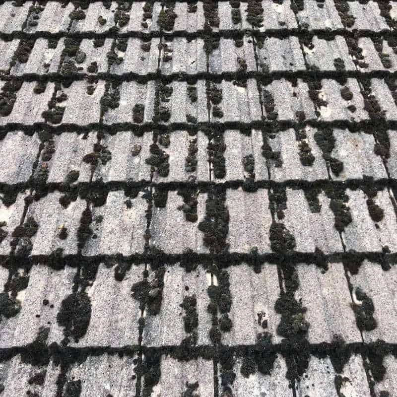 A house roof before cleaning in Alderley Edge