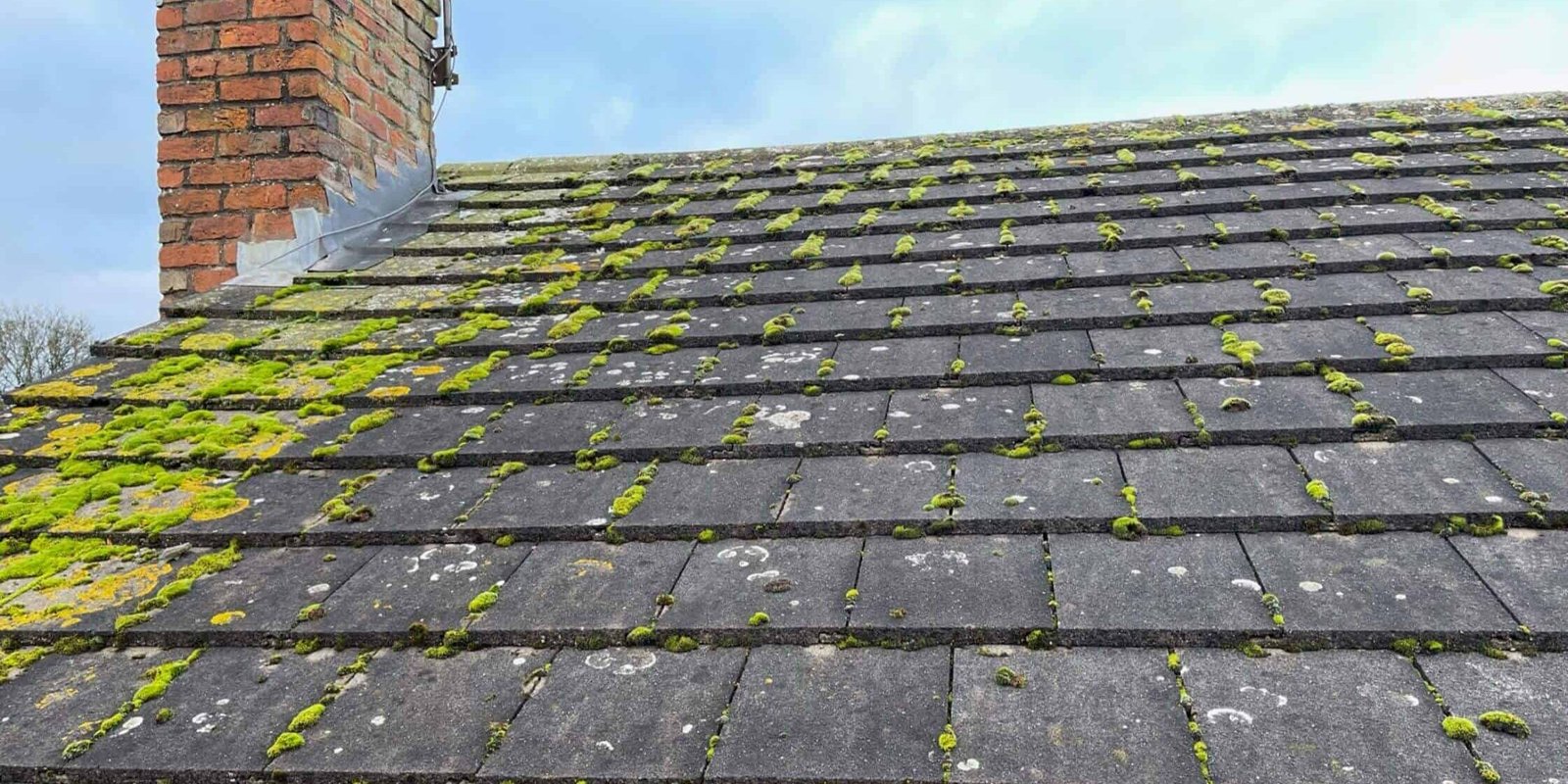 how-much-does-roof-cleaning-cost-in-2024-pristine-clean