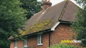 Moss growing on roof tiles of a Cheshire home before professional roof cleaning