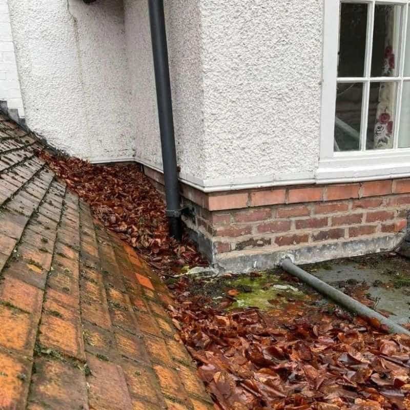 Leaves blocking a drainage area of a gutter, a common site across Cheshire including Alderley Edge and Tarporley.