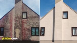 Before and after soft washing on a house exterior in Cheshire — heavy organic staining removed to leave the render looking close to new